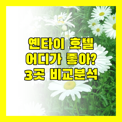 옌타이 호텔 추천 힐튼, 풀만, 크라운 플라자! 어디가 좋을까?