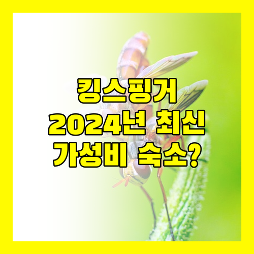2024년 리모델링 킹스 핑거 호텔 다낭 가성비 숙소일까?