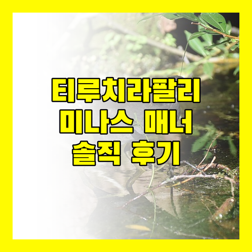 티루치라팔리 여행객 필독 미나스 매너 SR 레지던시 코트야드 숙박 후기 대방출!