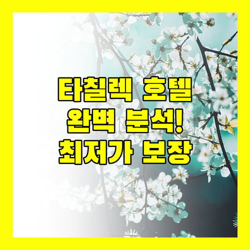 타칠렉 1G1-11 호텔 완벽 분석! 최저가 보장부터 숙소 규정까지 한눈에!