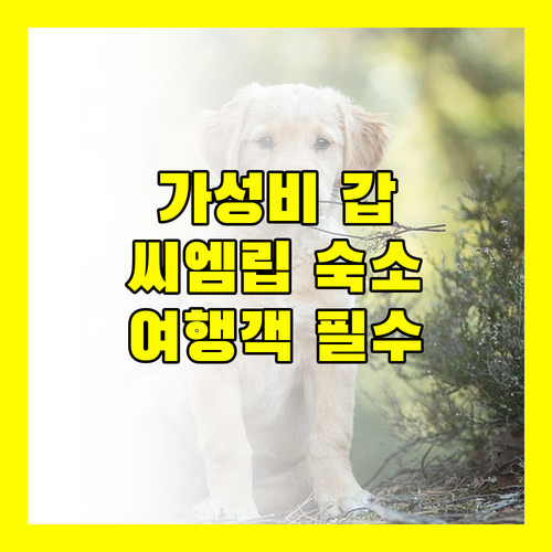 가성비 갑 Regency Classical Angkor 씨엠립 여행객 필수 숙소인가