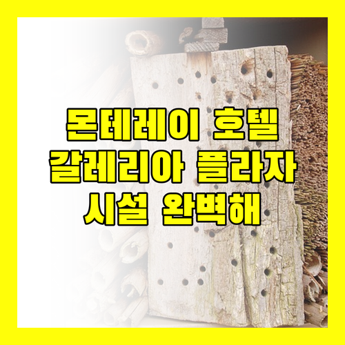 몬테레이 호텔 추천 갈레리아 플라자! 완벽한 시설과 친절한 스태프 경험