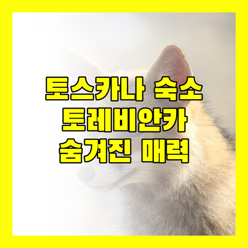 토스카나 여행객 필독 토레비안카 숙소의 숨겨진 매력