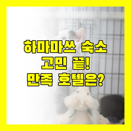 하마마쓰 숙소 고민 끝 위치, 청결, 서비스 모두 만족하는 호텔은 어디