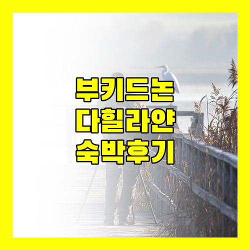 부키드논 다힐라얀 포레스트 파크 리조트 완벽 분석! 숙박 후기, 꿀팁 대방출