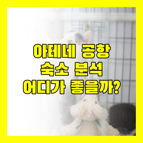 아테네 공항 숙소 완벽 분석 소피텔 vs GK 지중해 마을 어디가 좋을까?