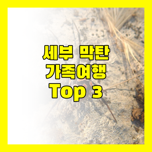 세부 막탄 리조트 Top 3 추천 가족 여행객을 위한 완벽 가이드