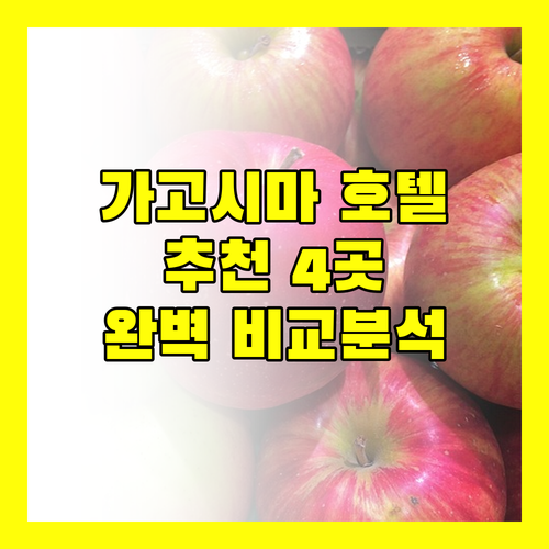 가고시마 호텔 추천 4곳 위치, 뷰, 가격 비교 완벽 분석!