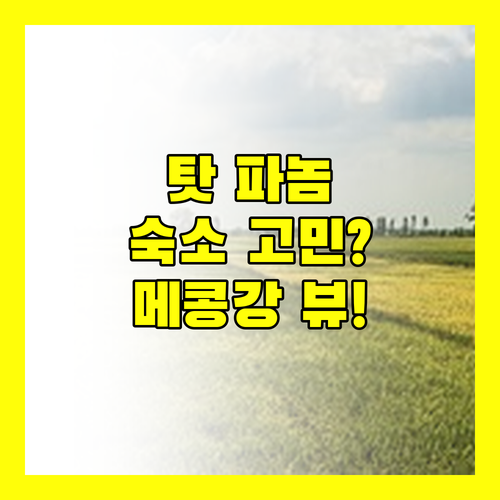 탓 파놈 숙소 고민 끝 메콩강 뷰 호텔부터 가성비 숙소까지