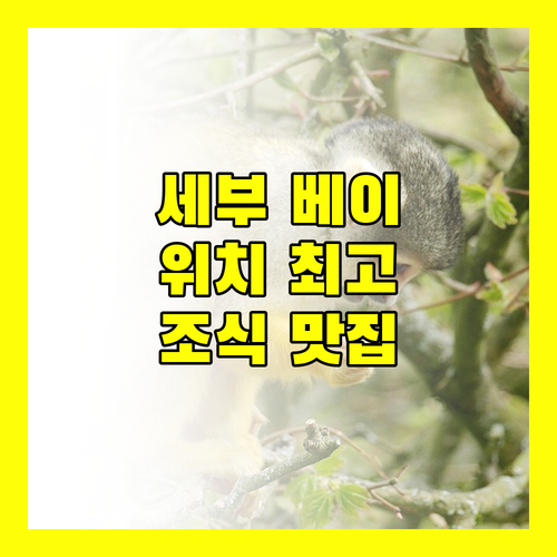 세부 베이프론트 호텔, 위치 좋고 조식 맛있는 곳! 후기 확인하세요