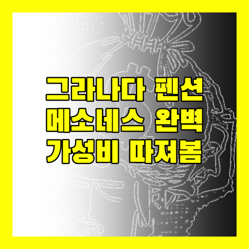 펜션 메소네스, 그라나다 중심! 가성비? 위치? 장단점 완벽 분석!