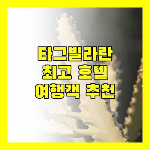 타그빌라란 최고의 호텔 Top 3 여행객 추천 숙소는 어디