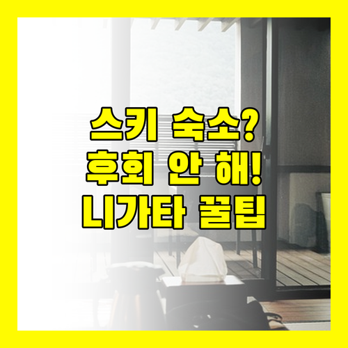 니가타 유자와 군마 미나카미 스키 료칸 당신이 절대 후회 안 할 일본 숙소 선택 가이드