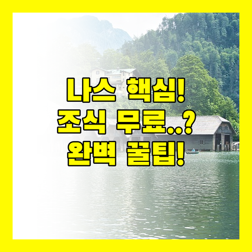 나스 중심가 호텔부터 성인 조식 무료 혜택까지 킬데어 인기 숙소 완벽 가이드