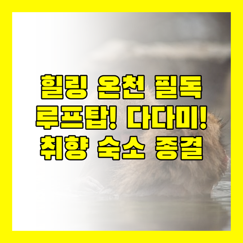 여행 스타일에 맞는 벳푸 온천 숙소 찾기 힐링 루프탑 다다미 3파전 완벽 분석