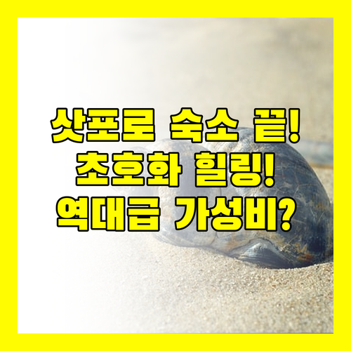 삿포로 호텔 고민 끝 럭셔리 힐링부터 압도적 가성비까지 당신의 선택은