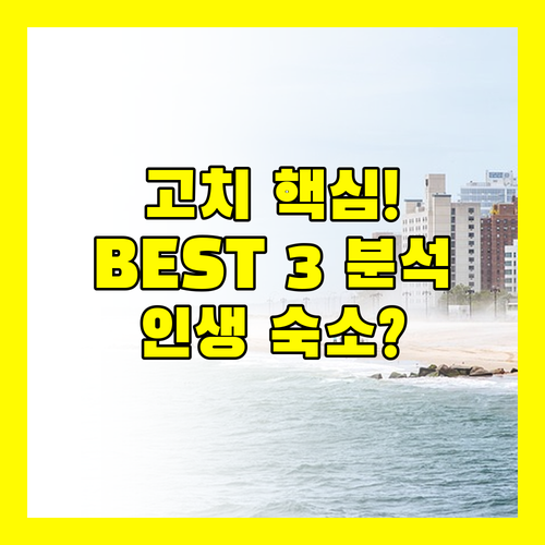 고치 시내 호텔 최강자 3곳 완벽 분석 니시테쓰 클레멘트 아베스트 후회 없는 숙소 고르는 법