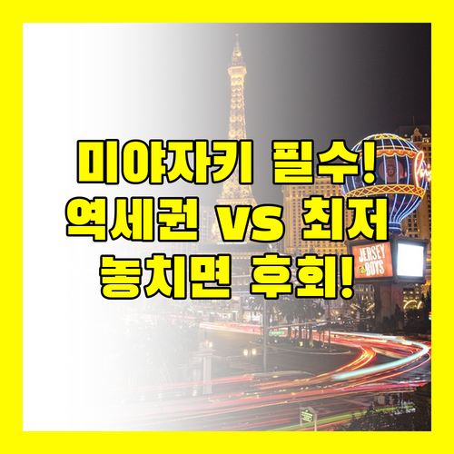 미야자키 숙소 고민 끝! 역세권 vs 최저가 신상 호텔 3곳 전격 비교