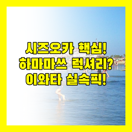 시즈오카 여행 완벽 숙소 하마마쓰 럭셔리 vs 이와타 실속파 당신의 선택은