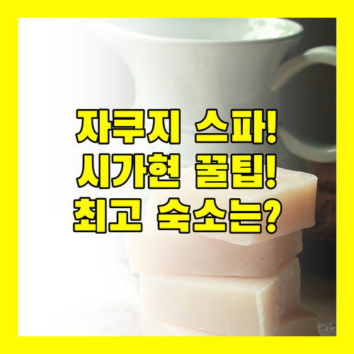 성인 전용 자쿠지 스파 호텔부터 역세권 최고 숙소까지 시가현 쿠사쓰 릿토 특급 비교