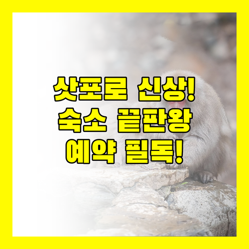 2025 삿포로 여행 신축 호텔 온천 료칸 후회 없는 숙소 예약 가이드
