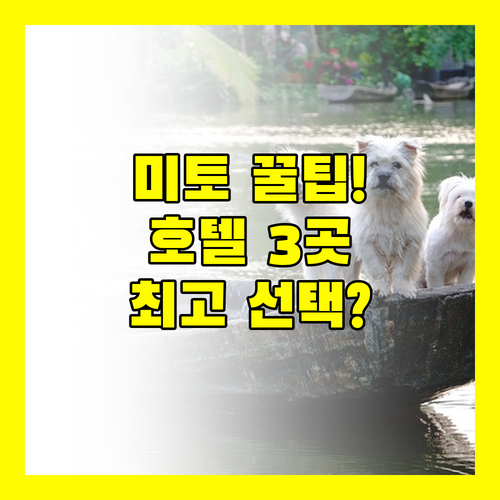 미토 호텔 세 곳 완벽 비교! 당신의 여행 스타일에 숨겨진 최고의 선택지는