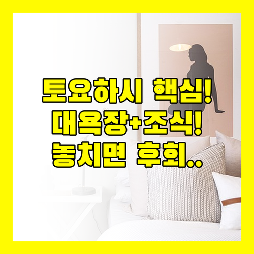 토요하시 최적 숙소 3곳 완벽 비교 직결 대욕장 무료 조식 이 모든 것을 가진 호텔은