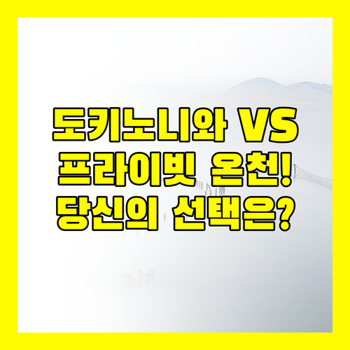 군마 온천 프라이빗 료칸 도키노니와 마운틴 뷰 호텔 쓰마고이 프린스 당신의 선택은
