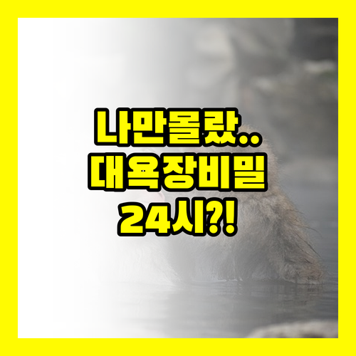 나만 모르는 호텔 케이한 유니버설 타워 24시간 프런트 대욕장 비밀